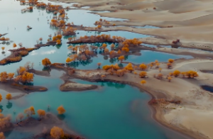 厂房布局风水怎么看