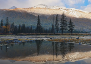 枭、偏印 的含义是什么