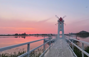 三两六女命后代非常厉害