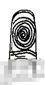君纹