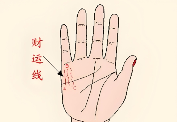 从手相看你和他的未来