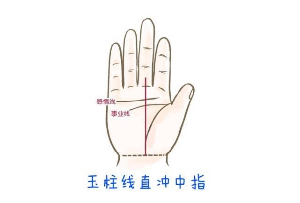 从手相看你的学历