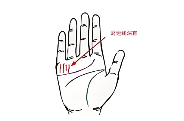 从手相分析你从事何种职业最赚