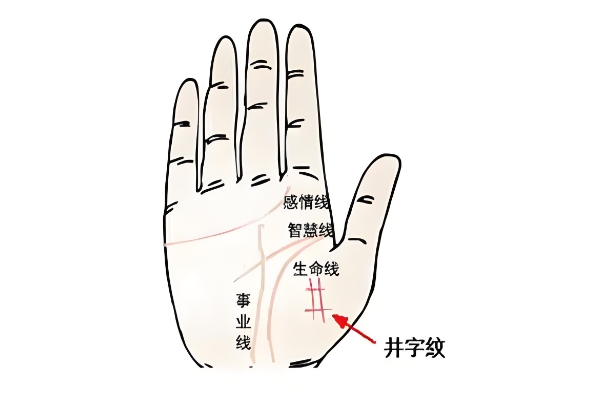  手相井字纹解析