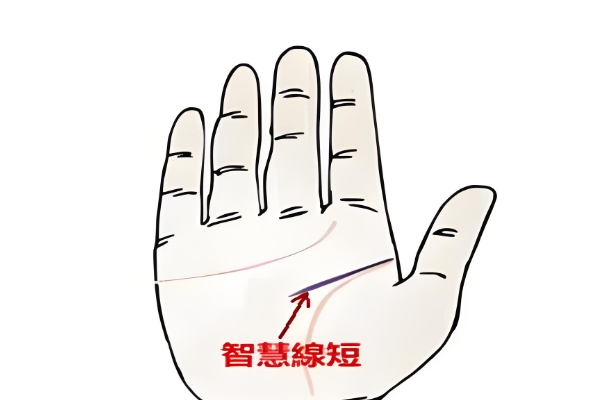 智慧线过短或过垂，皆是灾象