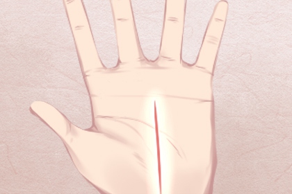 超级有钱的女人手相有哪些特征 事业线深长 超级有钱的女人手相有哪些特征 事业线深长