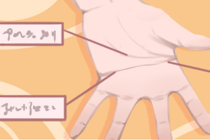 中晚年大富大贵手相 太阳线起自掌心 中晚年大富大贵手相 太阳线起自掌心