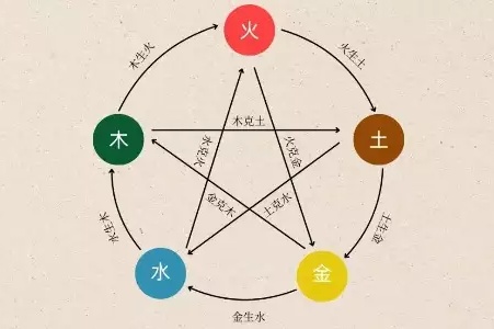 1991年是土命还是金命