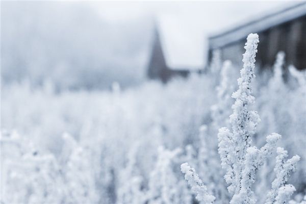 梦见冰雪是什么意思 梦见冰雪是什么意思